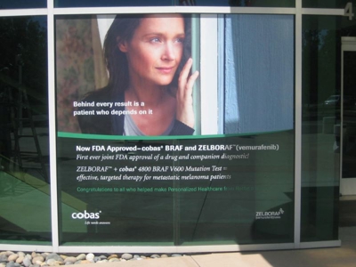 window graphics6 Photo